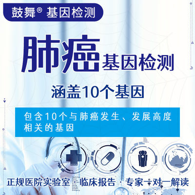 شراء NGS 10 اختبار الجينات 10 اختبار جيني مستهدف لمخاطر سرطان الرئة online manufacture