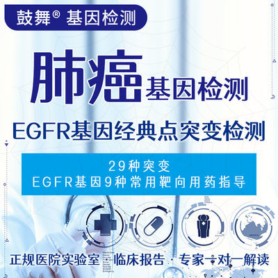 شراء الكشف عن طفرة نقطة EGFR الكلاسيكية online manufacture